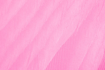 Beautiful pink magenta feather texture pattern background