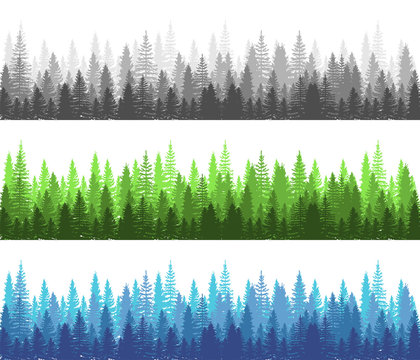 Forest different season Summer, Winter and Dark Forest collection. Pine, Spruce and Christmas Tree Panorama view Forest. Silhouette Trees. Vector
