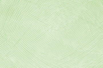 Beautiful feather color light green pattern texture background