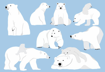 Simple white bear character.Vector illustration character doodle cartoon © piixypeach