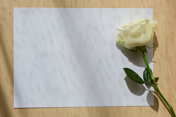 empty blank paper letter note and white rose on wood table with window light in the morning day