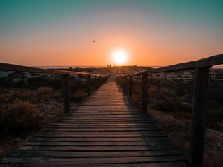 Fototapeta premium Wooden walkway towards sunset