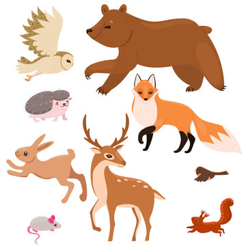 Collection of forest animals isolated on a white background. Vector graphics.