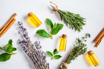 Essential oil in glass bottles. Thyme, mint, rosemary and lavender essential oils, top view.