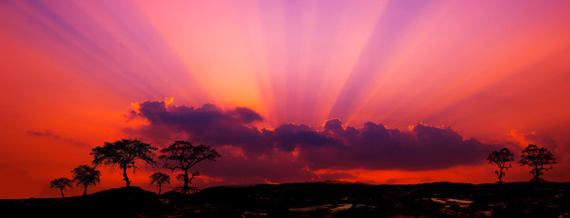 Fototapety na wymiar - Fototapeta24.pl