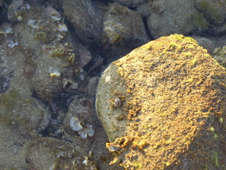 playa del Inglés al amanecer en Septiembre