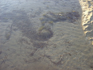 playa del Inglés al amanecer en Septiembre