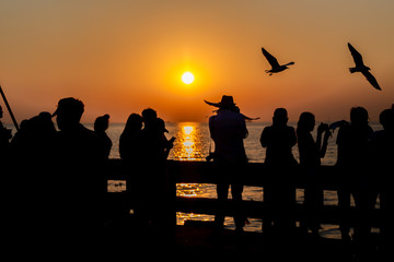 Fototapeta na wymiar silhouette people taking seagull photo with sunset at Bang Pu Resort, Thailand. decoration image contain certain grain noise and soft focus.