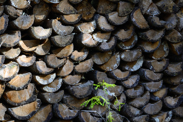 pile of wood, åre, jämtland,sweden,sverige