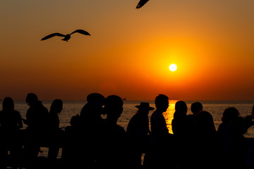 Fototapeta na wymiar silhouette people taking seagull photo with sunset at Bang Pu Resort, Thailand. decoration image contain certain grain noise and soft focus.