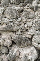 Fortress wall made of coral stones