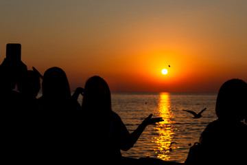 silhouette people taking seagull photo with sunset at Bang Pu Resort, Thailand. decoration image contain certain grain  noise and soft focus.