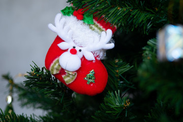 Christmas ornamental sock decorating on christmas tree