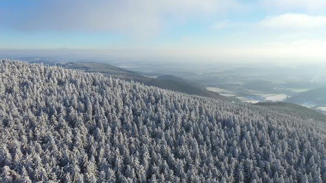 Aerial view of white spruce trees covered in fresh snow on sunny winter day in mountain, Liberec, Czech Republic