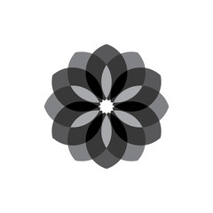 Abstract Flower logo design vector