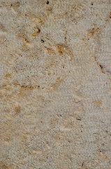 White wall, nautural texture relaxing