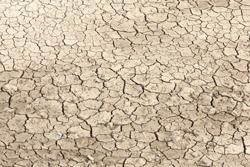 Texture of dehydrated ground surface with cracks