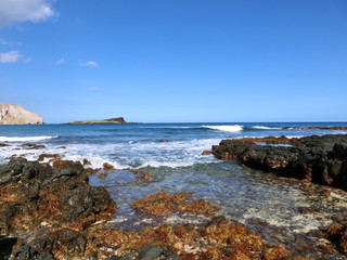 Fototapeta na wymiar ハワイの海