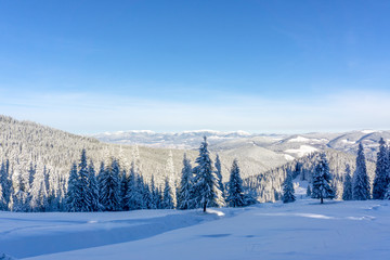 Carpathian mountain. Majestic winter landscape. Christmas time. Ukraine, Europe