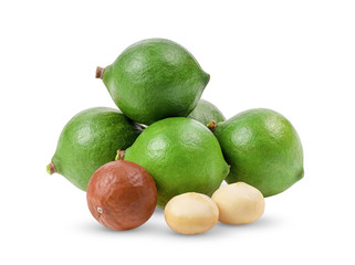 macadamia nuts  isolated on white background