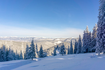 Carpathian mountain. Majestic winter landscape. Christmas time. Ukraine, Europe