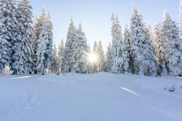 Fototapeta na wymiar Carpathian mountain. Majestic winter landscape. Christmas time. Ukraine, Europe