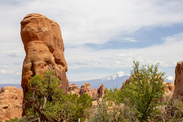 Désert américain et arches