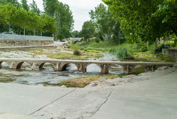 Fototapeta premium bridge in the park