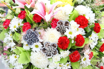 Beautiful background of bright colorful flowers closeup 