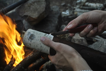 Men's hands clean the birch bark from the trunk of a tree, harvesting wood for lighting a fire in...
