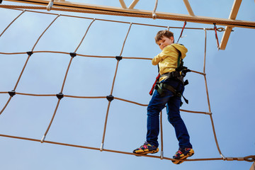 Happy little kid boy climbing on high rope course trail. Active child making adventure and action on family vacations. Challenge for brave kids.