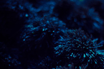 Naklejka na ściany i meble Black nylon texture macro lens blur background, Shallow depth of field.