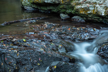 秋の渓流と落葉【福岡県】