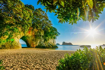 Wall murals Cathedral Cove cathedral cove coromandel new zealand sunrise