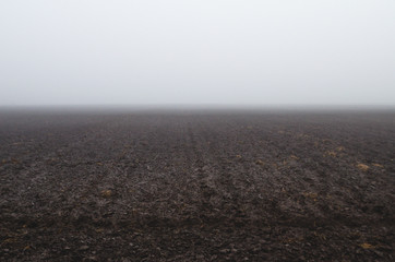 Fototapeta premium Arable land in the fog. Farmland in the winter season without snow.