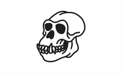 Gorilla Skull hand drawn. Line art vector illustration