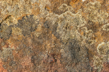 Texture of the rock. Stone texture background. Closeup and copy space. The patterns are created with nature.