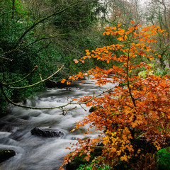 East Okement near Fatherford