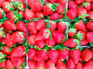 fresh strawberries in plastic containers top view. background of strawberry on a stall