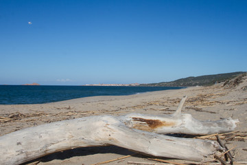 beautiful panorama of the famous beaches of the Sardinian sea with the isola rossa and castelsardo ...