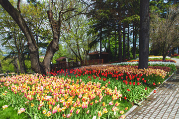 Flower beds in the tulip festival at Emirgan Park