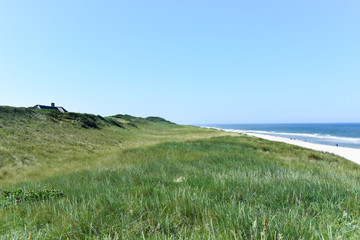 Dünenlandschaft auf der Insel Sylt mit Meer