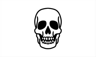 Human skulls hand drawn from the front. Line art vector illustration