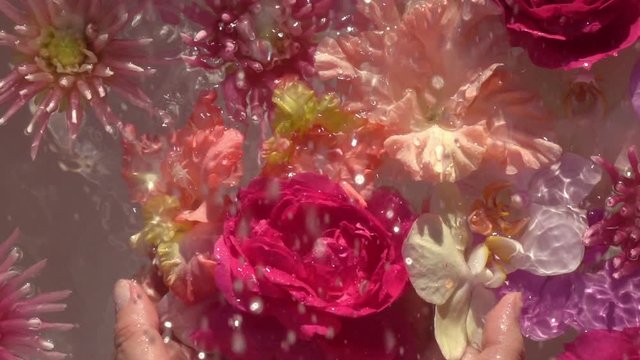 Rain drops falling on decorative water composition with flowers and big red rose in woman hands. Slow motion. Top view. Natural lighting.