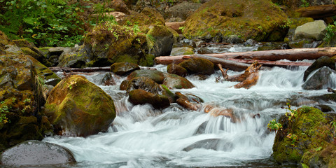 Fototapeta na wymiar Small Tanner Creek flows among stones near Wahclella Falls in the Columbia River Gorge near Portland.