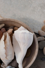 Seashell and stone collection in a wood bowl. 