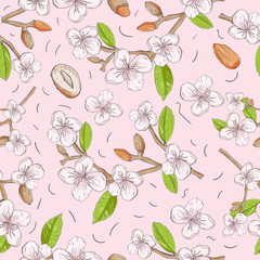 Fototapeta premium vegetable 2 seamless pattern of the branches nuts almonds for decoration design flowers leaves background is isolated