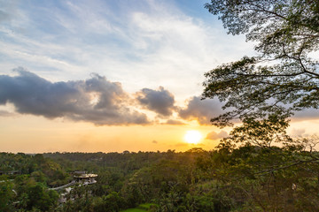 Palm trees and terraces ricefields. View from Sayan view point at sunset, Ubud, Bali Indonesia