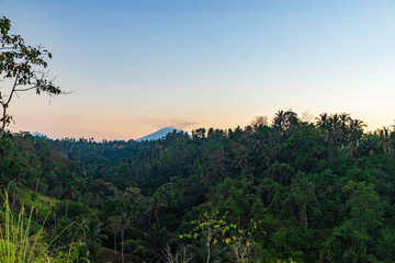 Obraz na płótnie Canvas Morning at the jungles. Mount Agung during sunrise view from Campuhan Ridge Walk, Ubud, Bali island, Indonesia.