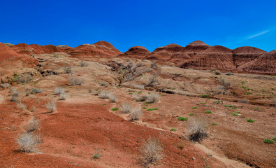 red clay hills and dried plants